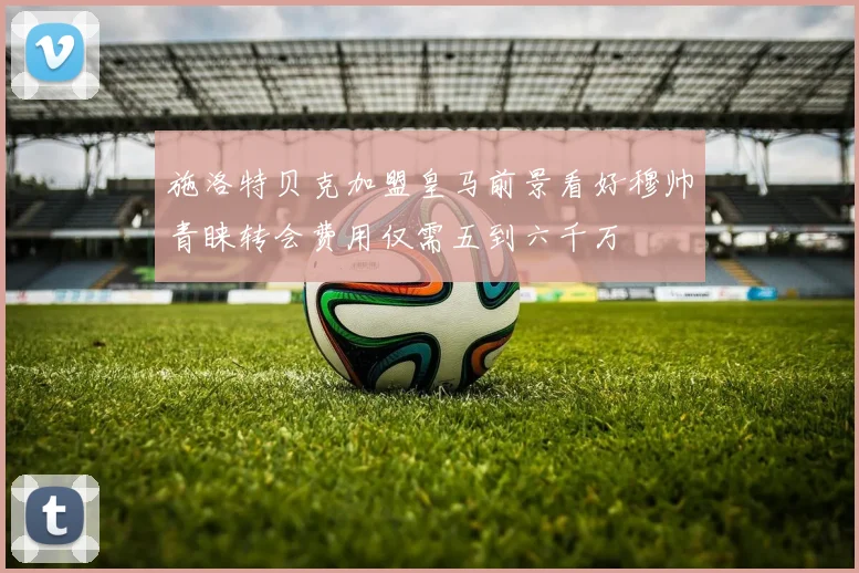 施洛特贝克加盟皇马前景看好穆帅青睐转会费用仅需五到六千万
