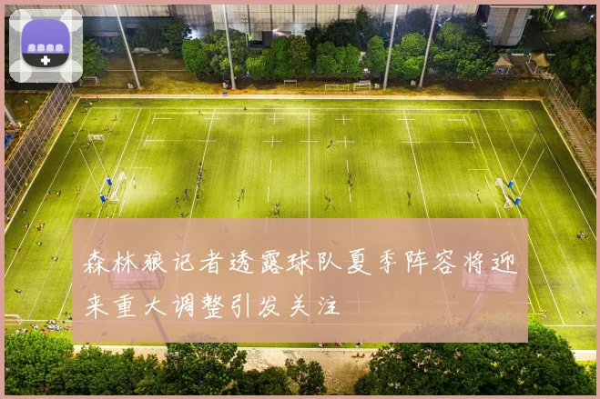 森林狼记者透露球队夏季阵容将迎来重大调整引发关注